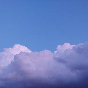 톨리일자일리톨