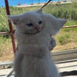 나정말많은일이있었어