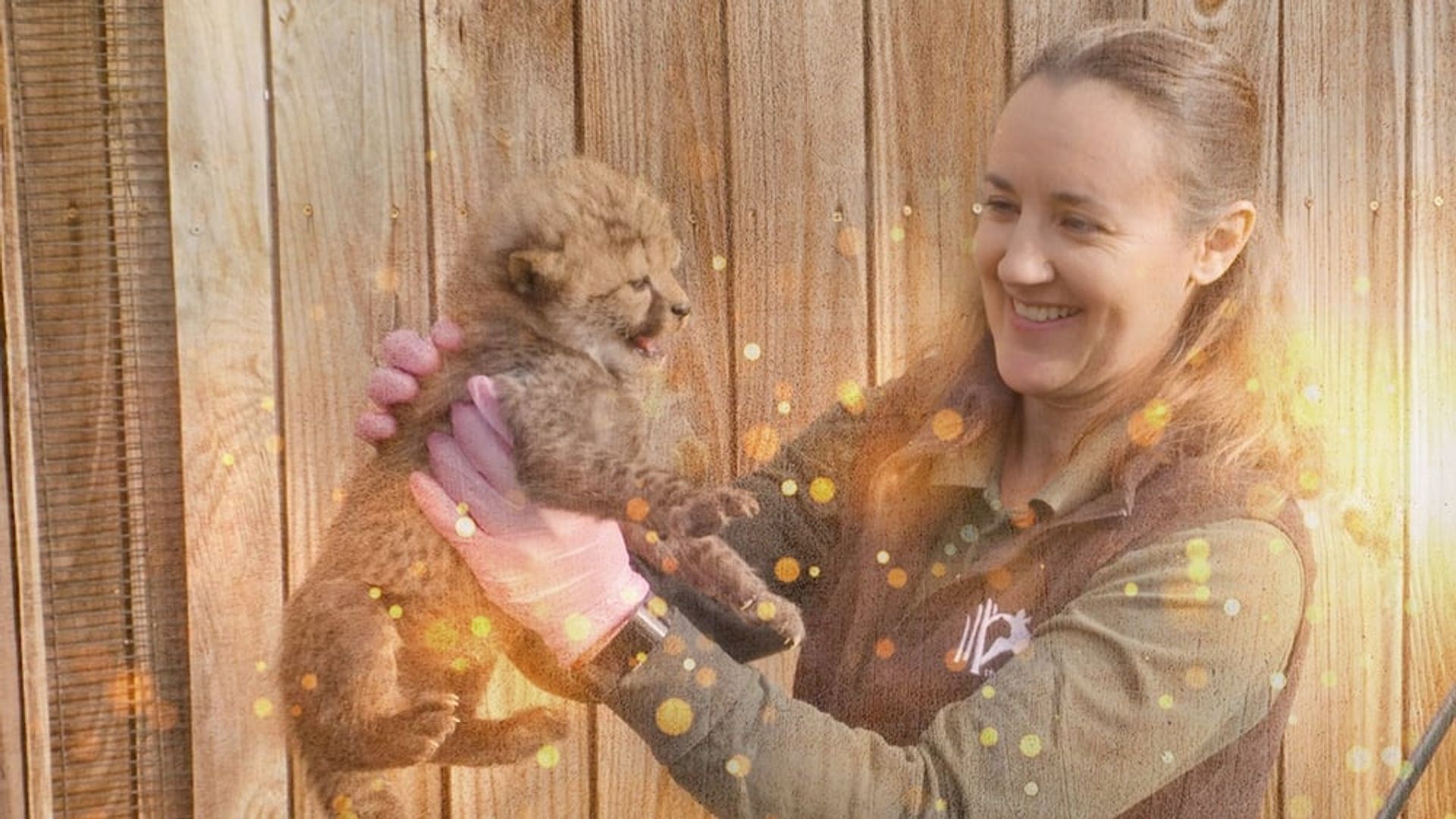Secrets of the Zoo Season 4 (2020) - Watcha Pedia