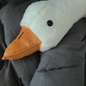 ์ฉ์ฉ์ด๐จ