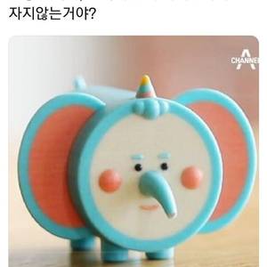 치즈에